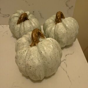 💥SALE! Light Blue Pumpkin Trio